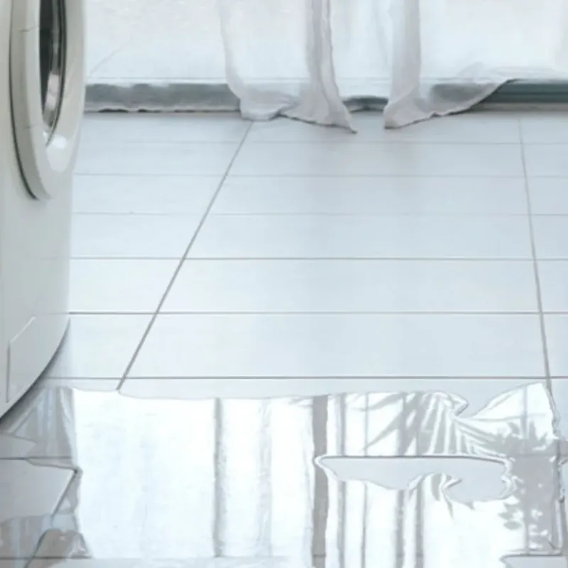 Appliance Leak Cleanup in Capitola, CA